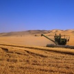 Аграрии Татарстана собрали первый миллион тонн зерна урожая-2019