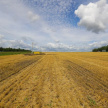 Минсельхозпрод РТ: Татарстан обеспечен семенами на 106 процентов