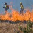 МЧС предупредило о высокой пожарной опасности лесов в 12 районах РТ и Казани 