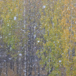 В понедельник циклон из Скандинавии принесет снегопад в Татарстан