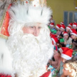 В трех городах Татарстана запустили телефонную службу Деда Мороза 