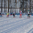 Татарстан впервые принимает этап Кубка России по лыжным гонкам
