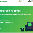 В Татарстане введут новые цели СМС-разрешений для самозанятых жителей