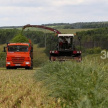 В Татарстане 19 районов приступили к кормозаготовке 