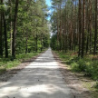Татарстанские власти закрыли леса для посещений