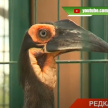 В казанский зооботсад завезли новых краснокнижных обитателей