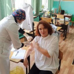 Алексеевцы сделали прививки от гриппа прямо на избирательных участках 