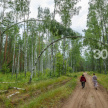 В Татарстане с любителями мусорить в лесах борются с помощью фотоловушек 