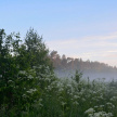 Дождливый день в субботу: 3 июля Татарстан накроют ливни, грозы, град и туман