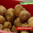 В Татарстане в подорожании картофеля обвинили перекупщиков