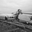 Трагедия в Татарстане: при крушении самолета погибли 16 человек