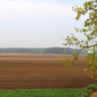 Весенне-полевые работы в Татарстане из-за непогоды затянулись на две недели