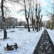 Мэрия Казани анонсировала создание нового сквера на улице Гагарина