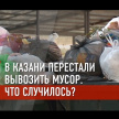 Казань продолжает утопать в «праздничном» мусоре