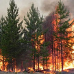 Штормовое предупреждение: в Татарстане высока вероятность лесных пожаров