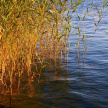 В Дрожжановском районе Татарстана благоустраивают пруд по нацпроекту 