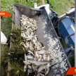 Обнаружившие 600 кг мертвой рыбы в озере СНТ «Ивушка» татарстанцы бьют тревогу 