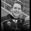17-летний чемпион России по хоккею с мячом среди юниоров скончался после укуса клеща 