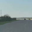 Перебегавшего дорогу большого медведя засняли в Кукморском районе РТ 