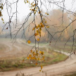 Пятница 3 ноября обещает быть в Татарстане теплой, но пасмурной 