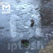 Казанда боз астына төшеп киткән ике баланы коткардылар - видео 