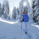 В Горкинско-Ометьевском лесу в Казани начал работу пункт проката лыж 