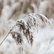 Мокрый снег, туман и гололед ожидаются в Татарстане 30 ноября 