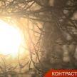Контрасты декабря: стало известно, когда в Татарстане ждать 25-градусных морозов