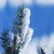Холодный атмосферный фронт с сильным снегом пронесутся над Татарстаном 25 декабря 