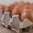 В УФАС озвучили причины роста цен на яйца в Татарстане 