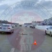 В Казани разыскивают автомобилиста, насмерть сбившего молодую косулю 