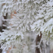 16 января сильный ветер принесет в Татарстан снегопады и потепление до -1 градуса 