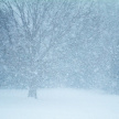 Снежная буря накроет Татарстан 17 января 