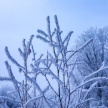 -40 градусов: в одном из районов Татарстана мороз достиг рекордных значений 