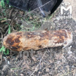  В Казани на дачном участке нашли боевой снаряд