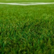 В Татарстане суд рассмотрит дело о мошенничестве на 5 миллионов рублей при замене газона на футбольном поле